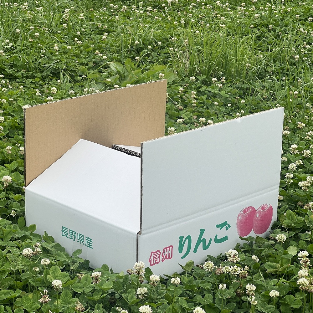 牧野果樹園　長野市産「ぐんま名月」約5kg（12-18玉） |  りんご ぐんま名月 フルーツ 果物 林檎 リンゴ アップル くだもの 人気  おすすめ ギフト プレゼント 送料無料 長野県 長野市 信州 信濃 ふるさと納税