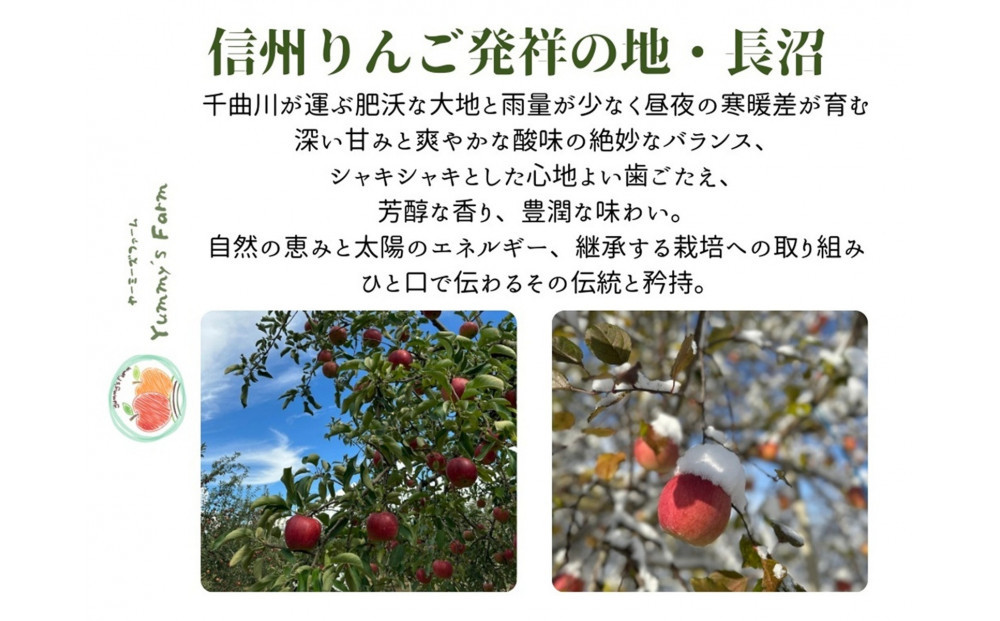 微アルコールシードル ボンプレサージュ330ml×3本 無添加・無濾過・非加熱低温発酵の発酵サイダー