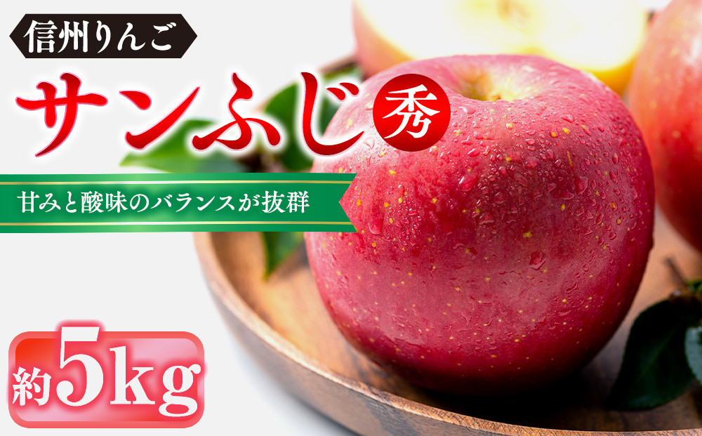 信州りんご・サンふじ（秀）約5kg（12個～18個） |  りんご フルーツ 果物 旬 サンふじ 人気 おすすめ ギフト プレゼント 送料無料 長野県 長野市 信州 信濃 ふるさと納税