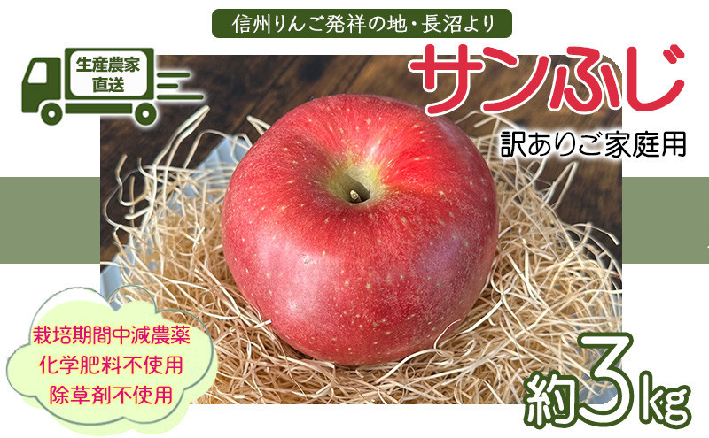ヤーミーズファーム　生産農家直送 人にやさしい 長沼りんご・サンふじ3kg（ご家庭用） |  りんご 林檎 フルーツ 果物 サンふじ 家庭用 長沼 おすすめ 人気 送料無料 長野県 長野市 信州 信濃 ふるさと納税