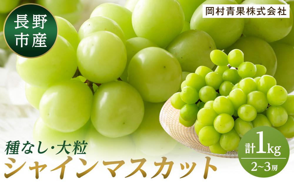 金オ岡村青果株式会社　長野市産 シャインマスカット1kg【2026年9月以降出荷分】フルーツ ぶどう 葡萄 果物 人気 種なし 数量限定 令和8年 産地 長野 |  シャインマスカット ぶどう フルーツ 果物 人気 おすすめ ギフト プレゼント 送料無料 長野県 長野市 信州 信濃 ふるさと納税