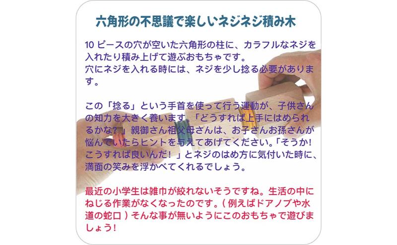 木のおもちゃ/六角ひねり積み木 psc 日本グッド・トイ受賞おもちゃ 知育玩具 ブロック 型はめ 日本製 男の子女の子 プレゼント おしゃれ ランキング 誕生日ギフト 誕生祝い 出産祝いに 老人 リハビリ 木製 玩具療法