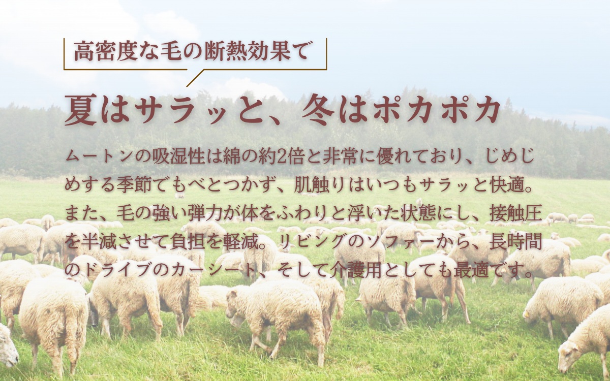 ひつじき（ムートン靴中敷）2足セット【ブラック】