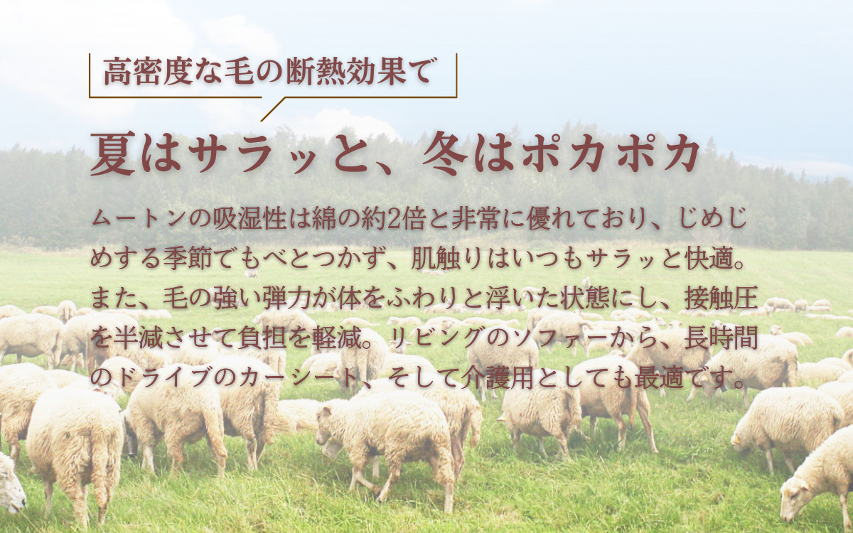 信州上田製裏無しムートンクッション2枚セット【グリーン】