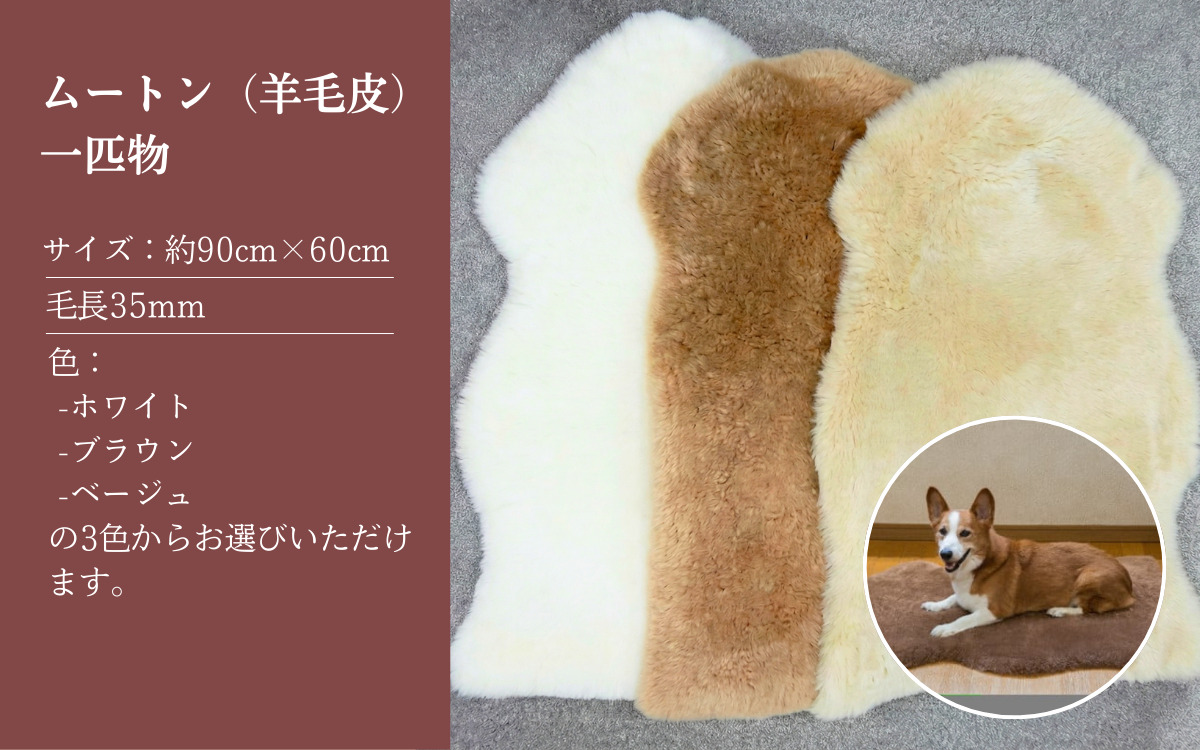 信州上田製ムートン（羊毛皮）一匹物　毛長35mm【ブラウン】