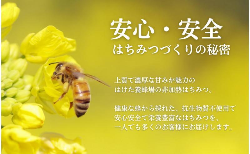 国産 生はちみつ 600g 2本セット 百花 ソバ セット 詰め合わせ 国産はちみつ 国産ハチミツ 天然蜂蜜 はちみつ 蜂蜜 ハニー 天然国産 非加熱 食べ比べ 食べ比べセット 信州産 長野県産 信州 長野 長野県 上田市