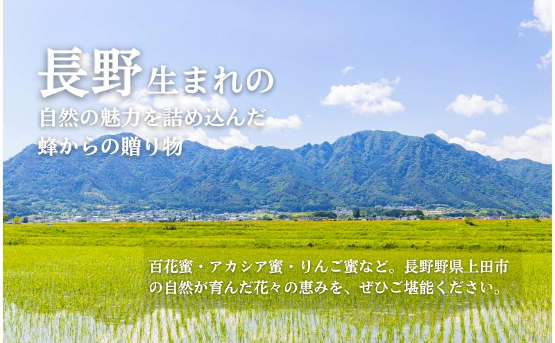 国産 生はちみつ 300g 2本セット アカシア 百花 セット 詰め合わせ 国産はちみつ 国産ハチミツ 天然蜂蜜 はちみつ 蜂蜜 ハニー 天然国産 非加熱 食べ比べ 食べ比べセット 信州産 長野県産 信州 長野 長野県 上田市