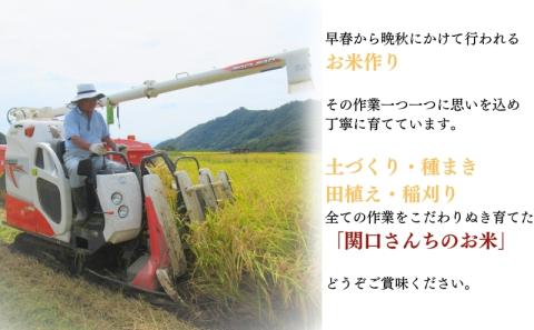 米 令和7年産 関口さんちのお米 コシヒカリ 20kg お米 こめ コメ 新米 精米 白米 ご飯 こしひかり 長野 信州
