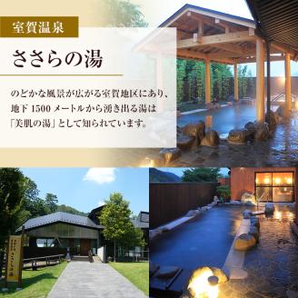 旅行 長野 温泉施設 4館共通 入館券 11枚組 家族・友人で利用しやすい 上田市内 日帰り 温泉 施設利用券 利用券 トラベル チケット 旅行券 長野県