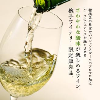 限定 ワイン 椀子ソーヴィニヨン・ブラン ミッドナイト・ハーベスト アンウッデッド 750ml シャトー・メルシャン ソーヴィニヨン 白ワイン 辛口 お酒 酒 アルコール ギフト 贈り物 プレゼント