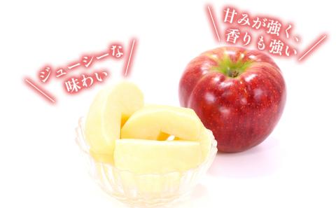 訳あり りんご JA信州うえだ 合戦りんご シナノスイート 約10kg リンゴ 林檎 果物 くだもの フルーツ 信州 長野 離乳食 訳アリ わけあり 傷