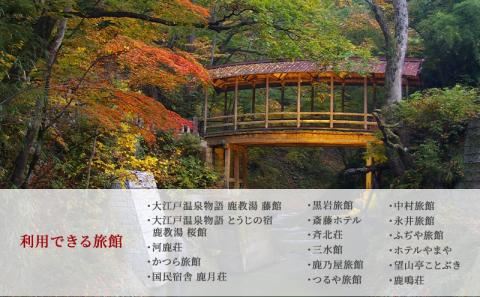 旅行 長野 信州 鹿教湯温泉 宿泊 補助券 1枚 3,000円 温泉 旅館 旅行券 宿泊券 施設利用券 利用券 トラベル チケット ホテル券 ホテルクーポン ホテル 長野県