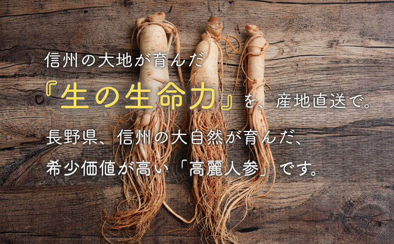生高麗人参 6年根 特大 200g 高麗人参 生 六年生 健康食品 健康 疲労回復 血行 改善 食品 美容 特産 薬膳 高麗人参酒 人参 調理 長野 信州