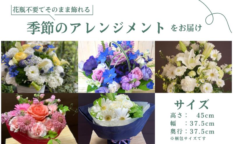 空間を彩る　季節のフラワーアレンジメント　Xサイズ×毎月2回×6ヶ月（全12回）