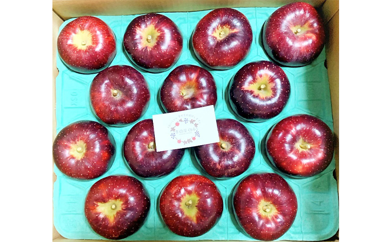 【2026年先行予約】 りんご 秋映 約10kg 林檎 リンゴ 10kg 果物 くだもの フルーツ デザート 旬の果物 旬のフルーツ 長野県 長野