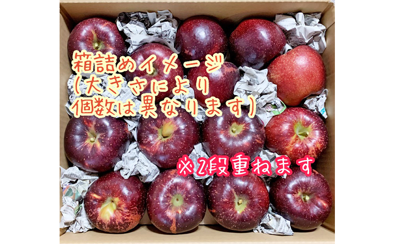 【2026年先行予約】 訳あり りんご 秋映 約10kg 林檎 リンゴ 10kg 果物 くだもの フルーツ デザート 旬の果物 旬のフルーツ 訳アリ 長野県 長野