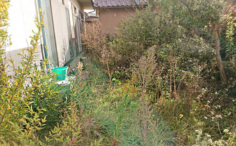 草刈り 植木伐採剪定 15,000円分