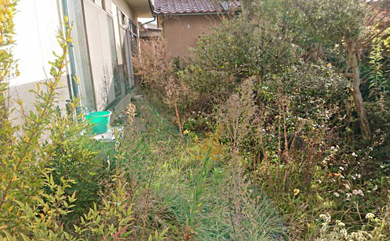 草刈り 植木伐採剪定 22,500円分