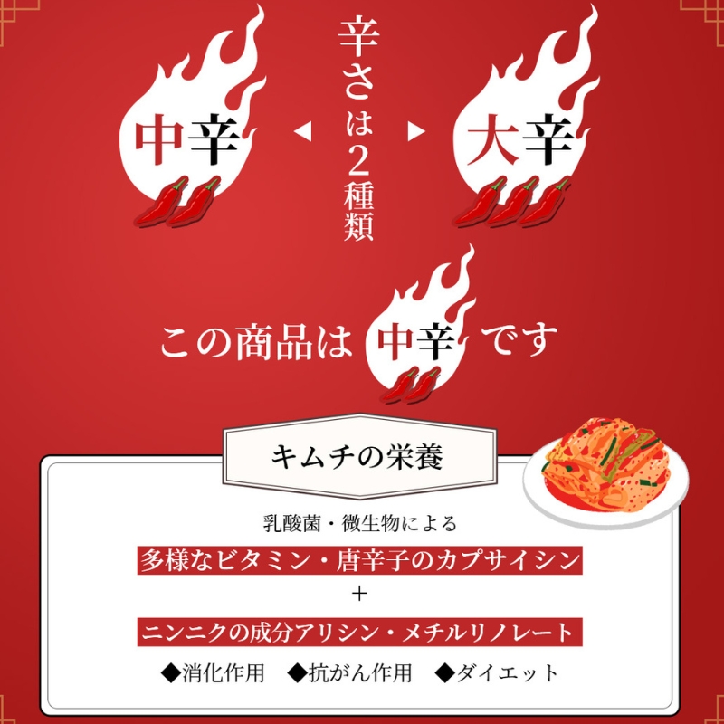 【定期便】12ヵ月連続でお届け！韓国屋の切れてる中辛キムチ 3kg 国産 白菜キムチ 国産 長野県 韓国屋 信州韓国屋 新鮮 健康 発酵食品 おつまみ ご飯のお供 お酒のお供 キムチ鍋 豚キムチ 韓国白菜キムチ