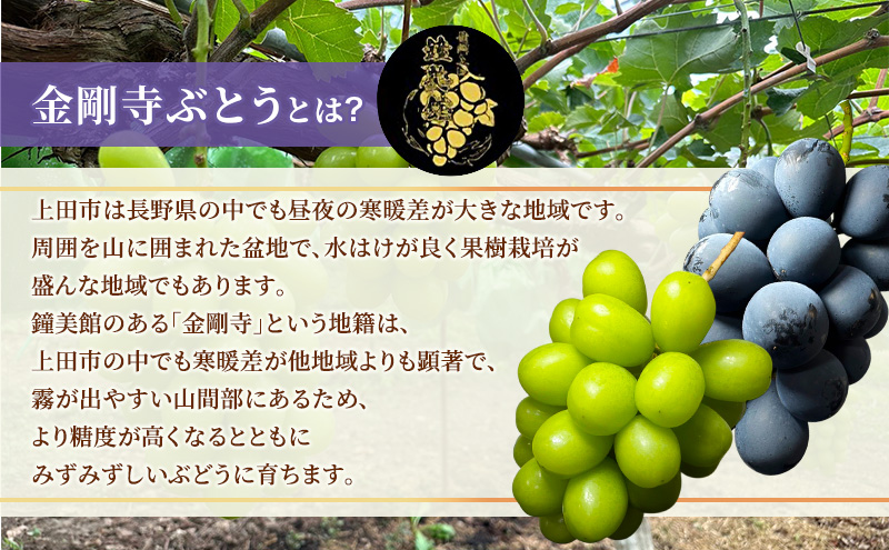 シャインマスカット ナガノパープル 信州上田産金剛寺ぶどう 2色 セット約4kg 8房 詰め合わせ 葡萄 ブドウ 4kg 果物 くだもの フルーツ デザート 旬の果物 旬のフルーツ 長野県 長野