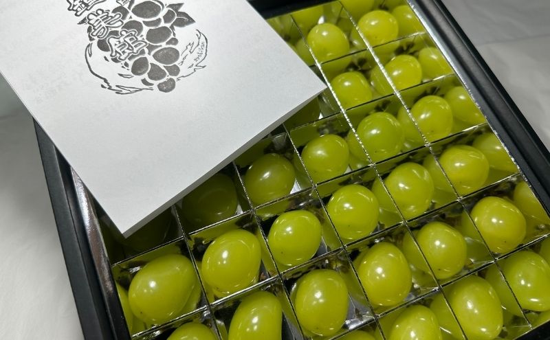 2025年先行予約 厳選！シャインマスカットjewelry box 信州上田産金剛寺ぶどう つぶつぶぶどう 1色 セット 36粒 詰め合わせ ぶどう マスカット フルーツ 旬の果物 長野