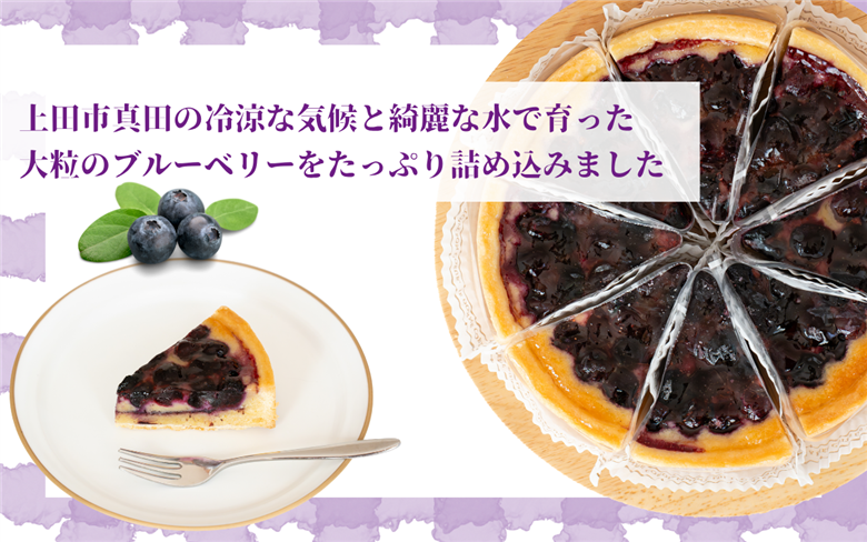 信州真田ブルーベリータルト 8ピース 小分け 信州産ブルーベリー　上田市 スイーツ お菓子 冷凍 記念日 おやつ デザート 洋菓子 焼き菓子 長野 信州