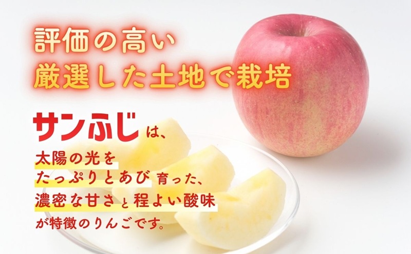 りんご サンふじ 3kg 贈答用 信州 フルーツ 果物　サンふじりんご 林檎 リンゴ サンふじ くだもの 旬の果物 旬のフルーツ 信州産 長野県産 長野 長野県 上田市