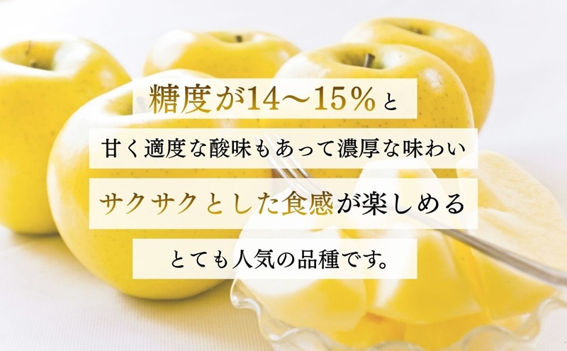 りんご シナノゴールド 5kg 贈答用 信州 フルーツ 果物　林檎 リンゴ くだもの 旬の果物 旬のフルーツ 信州産 長野県産 長野 長野県 上田市