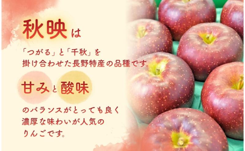 JAうえだから仕入れています りんご 秋映　あきばえ 5kg 贈答用 信州 フルーツ 果物