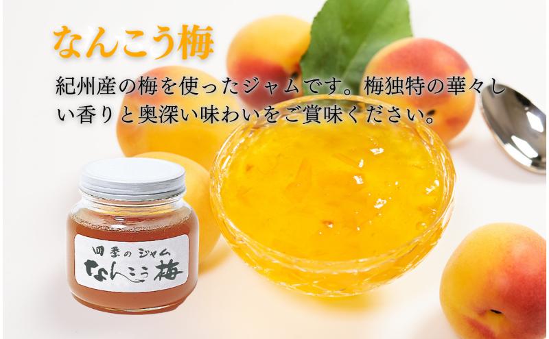なんこう梅（M）2個セット ジャム 手作り セット 梅 朝食 軽食 上田市
