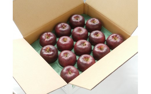 贈答用にも！JA信州うえだ「秋映」りんご 特秀5kg
