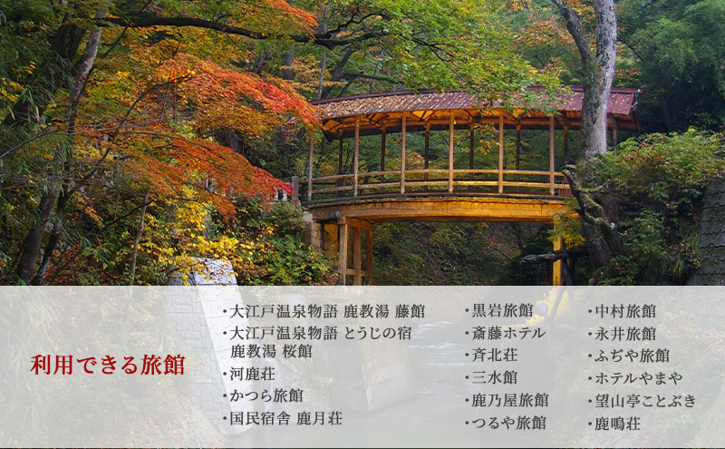 旅行 長野 信州 鹿教湯温泉 宿泊 補助券 40枚セット 120,000円 温泉 旅館 旅行券 宿泊券 施設利用券 利用券 トラベル チケット ホテル券 ホテルクーポン ホテル 長野県