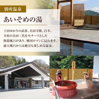 旅行 長野 温泉施設 4館共通 入館券 11枚組 家族・友人で利用しやすい 上田市内 日帰り 温泉 施設利用券 利用券 トラベル チケット 旅行券 長野県