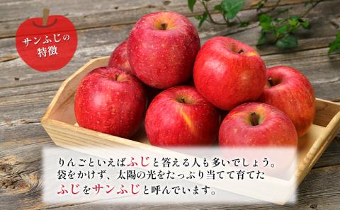 訳あり りんご JA信州うえだ 合戦りんご サンふじ 約10kg リンゴ 林檎