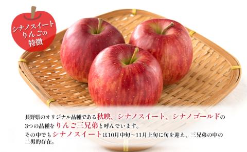 訳あり りんご JA信州うえだ 合戦りんご シナノスイート 約10kg リンゴ 林檎 果物 くだもの フルーツ 信州 長野 離乳食 訳アリ わけあり 傷
