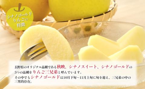 訳あり りんご JA信州うえだ 合戦りんご シナノゴールド 約10kg リンゴ 林檎 果物 くだもの フルーツ 信州 長野 離乳食 訳アリ わけあり 傷