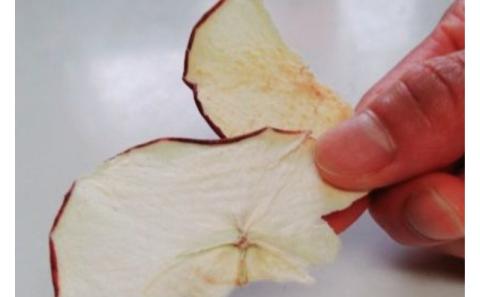 ペットの信州産リンゴのドライサラダ 5袋セット