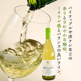 限定 ワイン 椀子ヴィンヤードを味わうお試し セット 2本 椀子シャルドネ　アンウッデッド 椀子ロゼ 750ml お酒 アルコール ギフト プレゼント