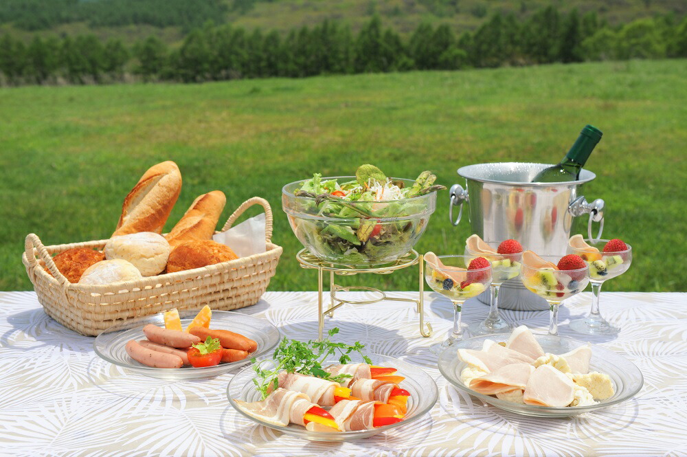 爽やか信州軽井沢 詰め合わせ セット Ｂ / 熟成 ロースハム 42g 熟成 ベーコン 45g ビアシンケン 60g 熟成 あらびきウインナー 58g 2個 熟成 ハーブ ウインナー 58g ロース 生ハム 30g 2個 信州ハム