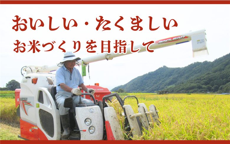 米 令和7年 関口さんちのお米 コシヒカリ 5kg お米 こめ コメ 精米 白米 ご飯 こしひかり 長野 信州