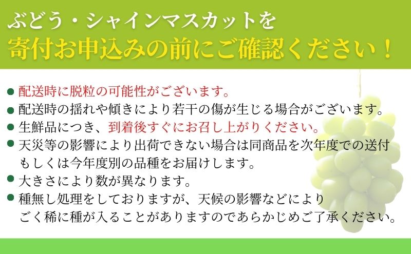 シャインマスカット 信州上田産金剛寺ぶどう 約4kg 8～10房 ぶどう 葡萄 ブドウ マスカット 4kg 果物 くだもの フルーツ デザート 旬の果物 旬のフルーツ 長野県 長野 金剛寺ぶどう