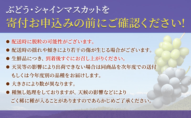 シャインマスカット ナガノパープル 信州上田産金剛寺ぶどう 約1kg 2房 詰め合わせ シャインマスカット ナガノパープル 葡萄 ブドウ 1kg 果物 くだもの フルーツ デザート 旬の果物 旬のフルーツ 長野県 長野