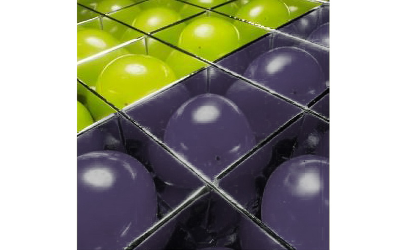 厳選！シャインマスカット ナガノパープル jewelry box 信州上田産金剛寺ぶどう 2色 セット 36粒 各18粒 詰め合わせ 葡萄 ブドウ マスカット 果物 くだもの フルーツ 旬のフルーツ 長野県 長野