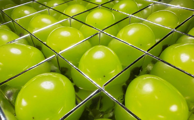 2025年先行予約 厳選！シャインマスカットjewelry box 信州上田産金剛寺ぶどう つぶつぶぶどう 1色 セット 36粒 詰め合わせ ぶどう マスカット フルーツ 旬の果物 長野