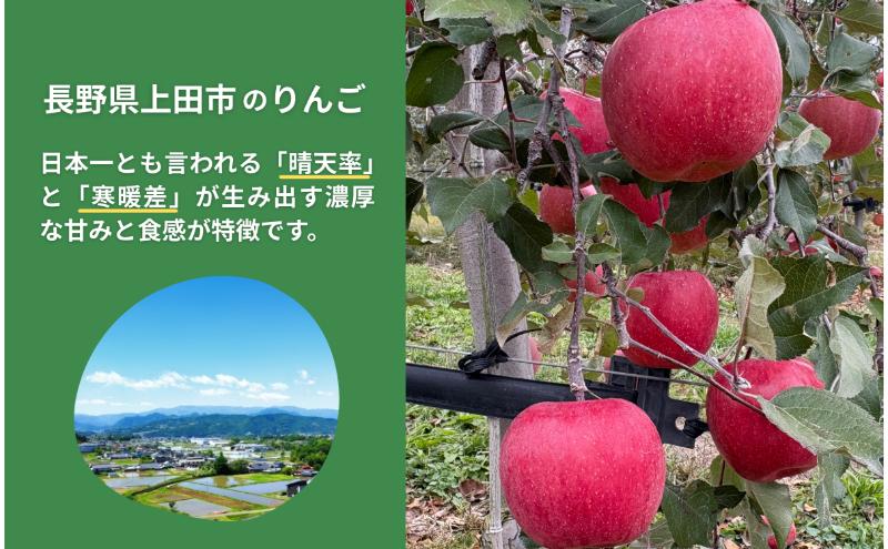 サンふじ　10kg　りんご リンゴ 林檎 果物 フルーツ 長野