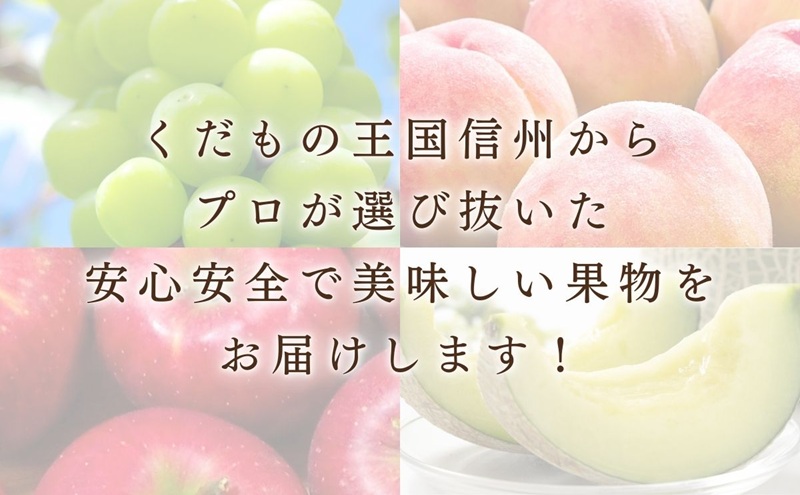 りんご サンふじ 5kg 贈答用 信州 フルーツ 果物　サンふじりんご 林檎 リンゴ サンふじ くだもの 旬の果物 旬のフルーツ 信州産 長野県産 長野 長野県 上田市