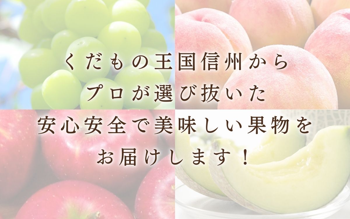 シャインマスカット 2kg 贈答用 信州 フルーツ 果物　ぶどう ブドウ 葡萄 マスカット くだもの  旬の果物 旬のフルーツ 信州産 長野県産 長野 長野県 上田市