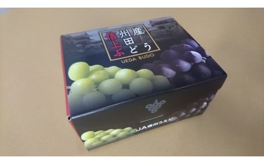 JA信州うえだ「特産 ナガノパープル」2房（約900g以上）