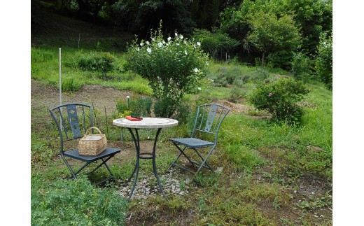 ハーブティー　オリジナルブレンドティー7種類、花ブレンドティー3種類セット