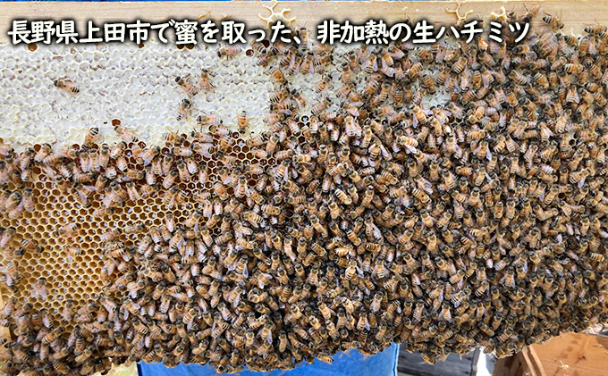 国産生はちみつ　アカシア・リンゴ・百花600g 3本セット